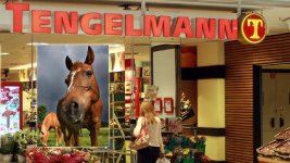 tengelmann-reagiert-auf-den-pferdefleisch-skandal.jpg