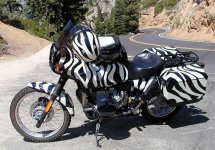 Barock-Helmets-Zebra_m.jpg