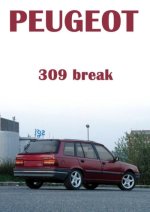 Peugeot_309_break_.jpg_middle_600x600_100KB.jpg